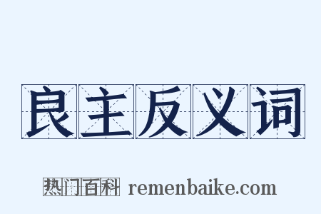 良主反义词是什么意思的图片